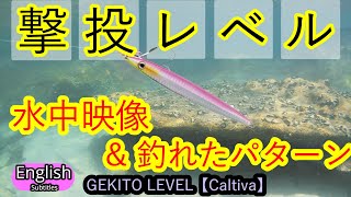 撃投レベル　水中映像と実釣　どんなアクションで釣れたのか？【ショアジギング】　カルティバ