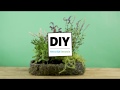 Intratuin - Wilde veldtuin - DIY