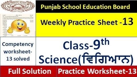 pseb competency based paper class 9th science worksheet 13 test 9th class science weekly sheet 13