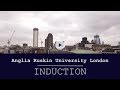 Induction to aru london