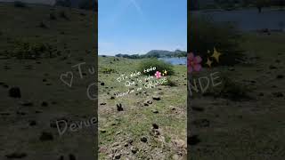 Buenos dias, recordemos que todo es temporal y nada nos pertenece #reflexionesdeldia