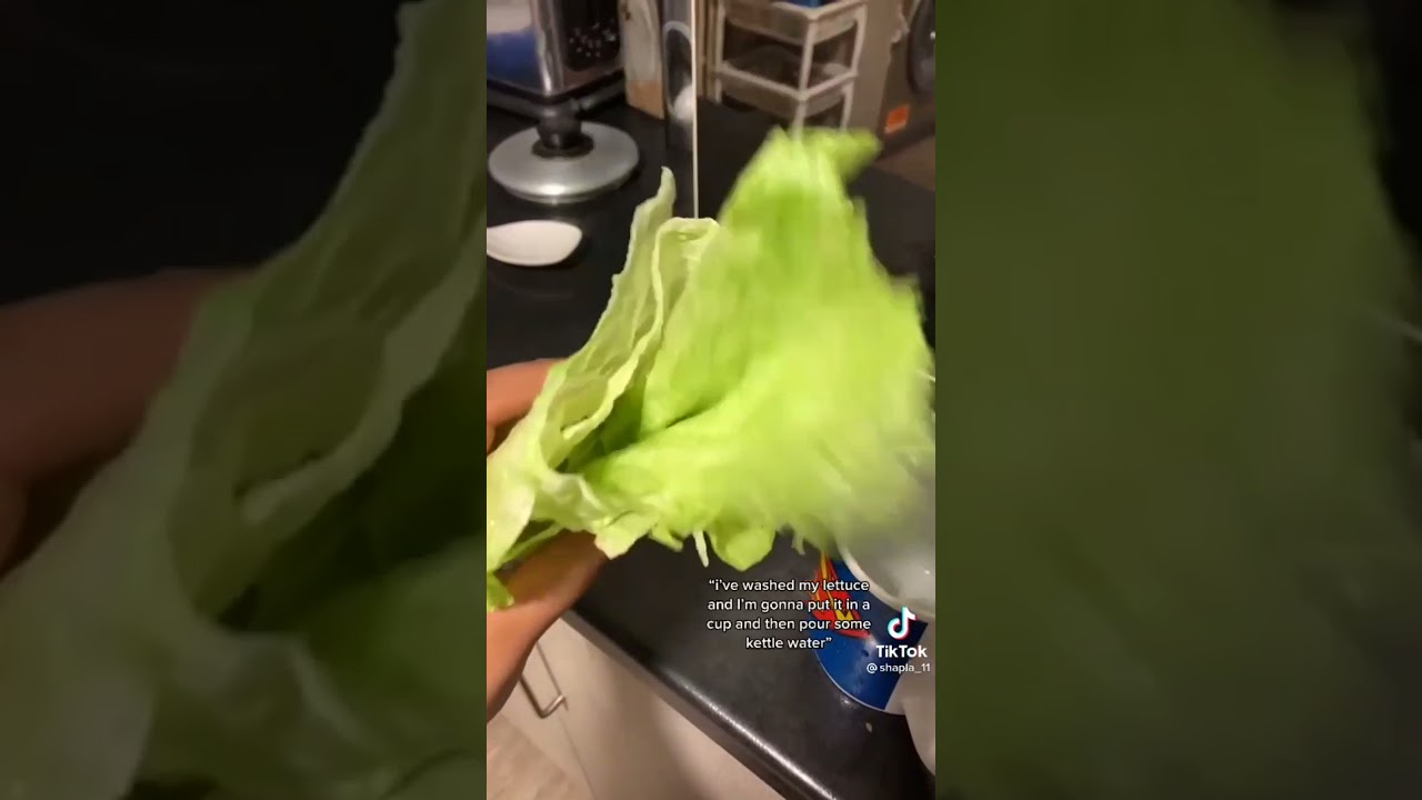 Lettuce Water Makes You Sleep YouTube
