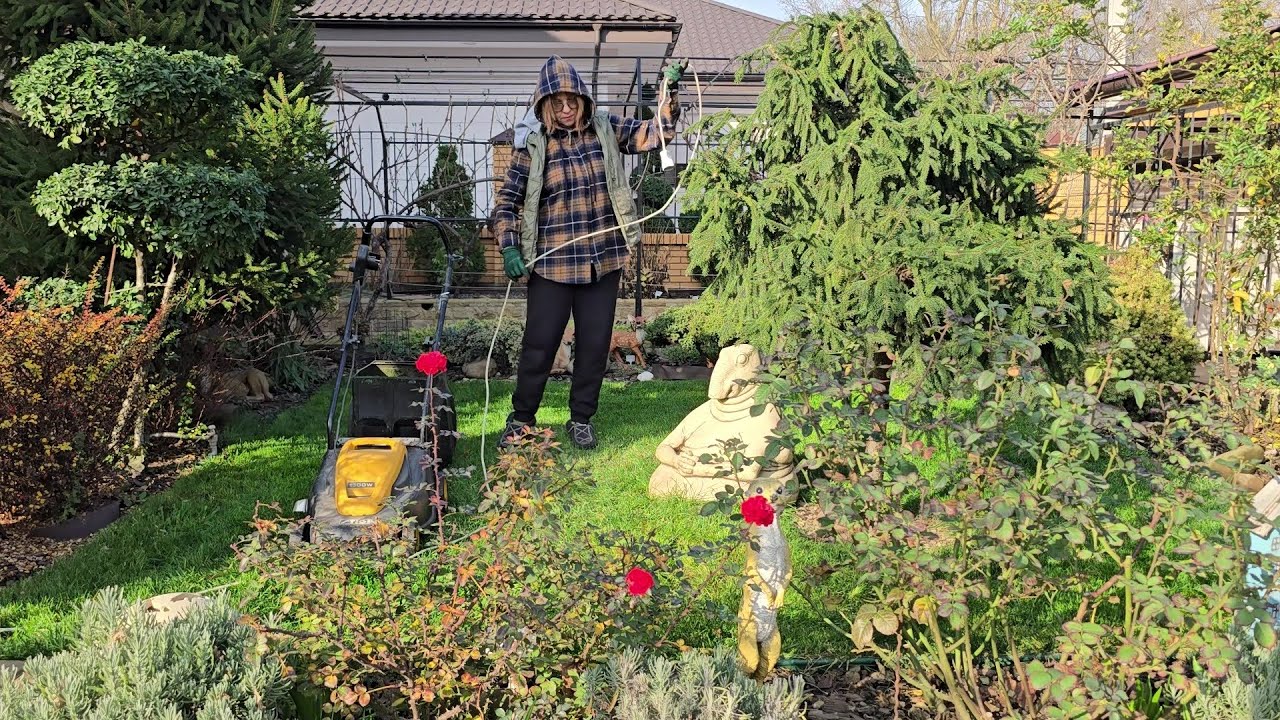 Миколая скоро, а я все з саду не вилізу ніяк