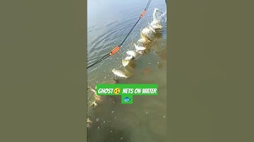 Scary Ghost Nets, A Silent Threat to Marine Life #fishingnet #shortvideo