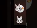 ไม่รู้ ขี่ไก่