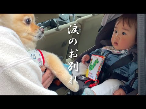 我が子のように可愛がってきた甥っ子とお別れの日がやってきました…