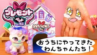 ♡プレゼントペットミニ♡お家にやってきたわんちゃんたち！