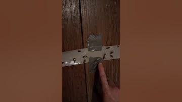 How To Make A Roach Trap (Duct Tape Only)(Very Easy)(Super effective)