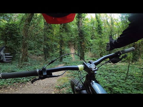 mtb trails new forest