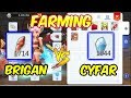 Farming Brigan and Cyfar How much to Earn | Ragnarok Mobile Eternal Love