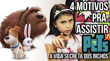 Onde tem pets A vida secreta dos bichos?
