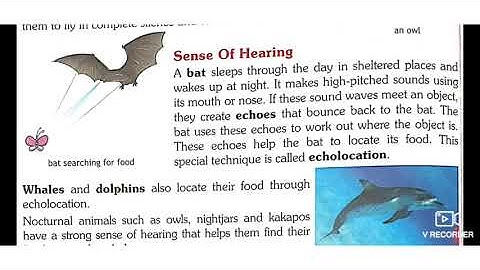 Class 5 EVS Ls 8 Searching of Food