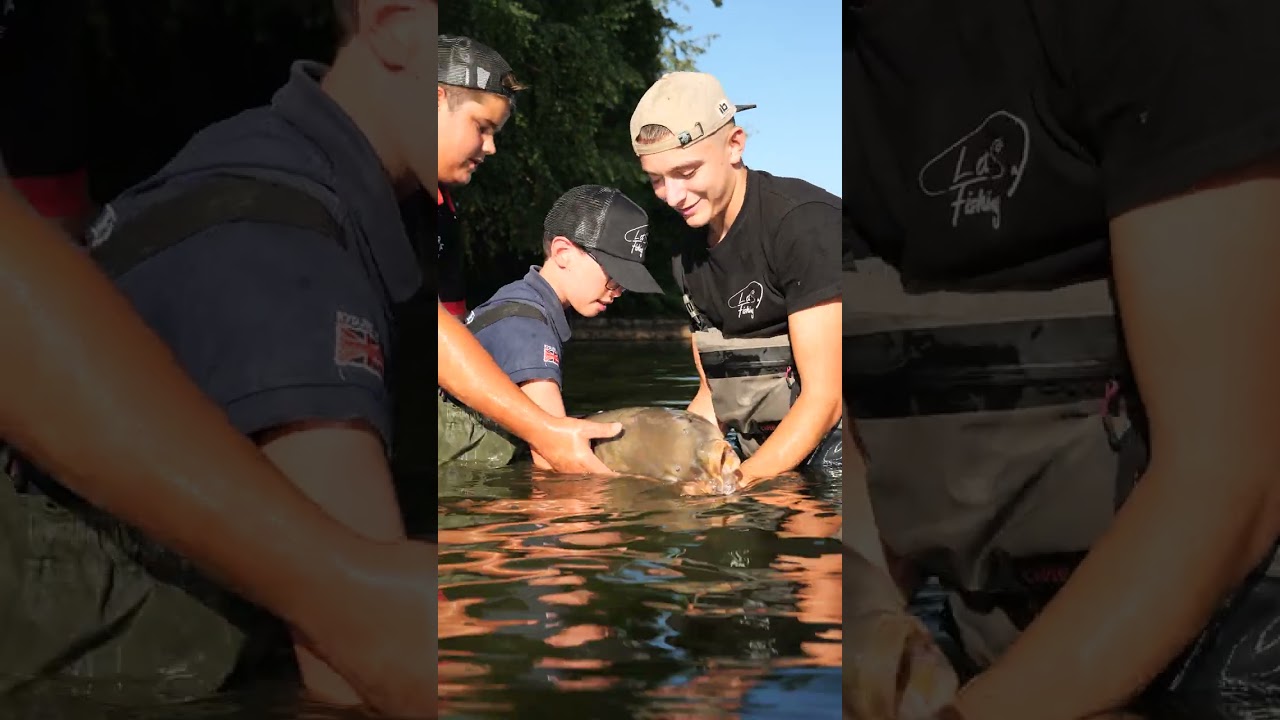 Magnifique carpe miroir prise sur le camp carpe L et S Fishing