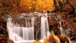 Free Thanksgiving Day screensavers nfsWaterfallThanksgiving screenshot 5