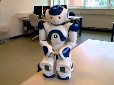 NAO ROBOT fighting
