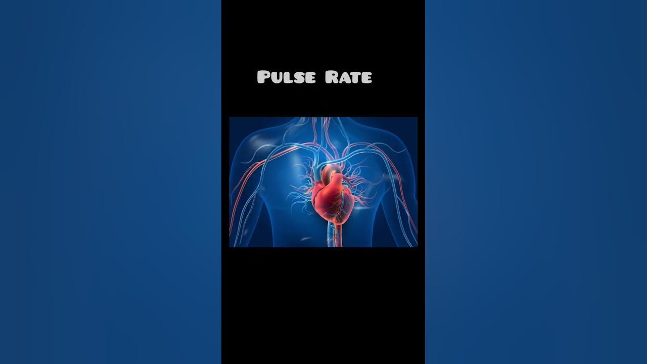 Heart Rate Vs Pulse Rate Difference Between Heart Rate And Pulse Rate heart-rate-vs-pulse-rate-difference-between-heart-rate-and-pulse-rate