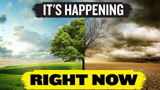 33 Things We Know About The Coming Food Shortages