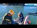 Dog rescued after it was swept into ocean in Batemans Bay