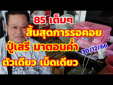 85เต็มๆ สิ้นสุดการรอคอย ปู่เสรี มาตอนค่ำ เม็ดเดียว 30/12/66