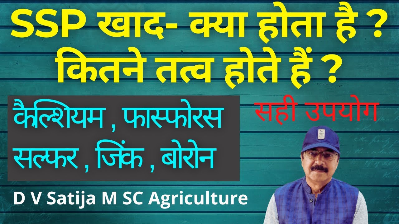 ssp fertilizer uses nutrients in ssp calcium,phosphorus,sulphur,zinc ,boron subsidy on ssp