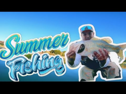 Mid-Summer fishing #bassfishing #fishing #bassjunkie #subscribe