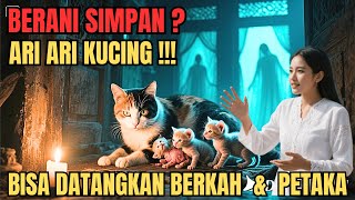 Keajaiban dan kesaktian ari ari kucing