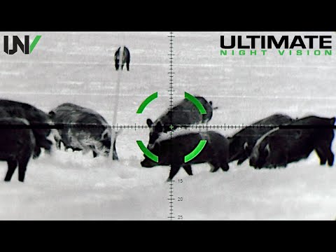 Texas Hunter Eliminates