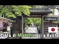 [2021] La città di matcha 🍵 a Uji Kyoto in Giappone 🇯🇵 passeggiamo e visitiamo insieme🕺🏻