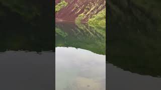 🐟🌋🤯 Trout found swimming in volcanic crater lake
