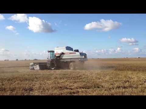 Gleaner R62 Deutz