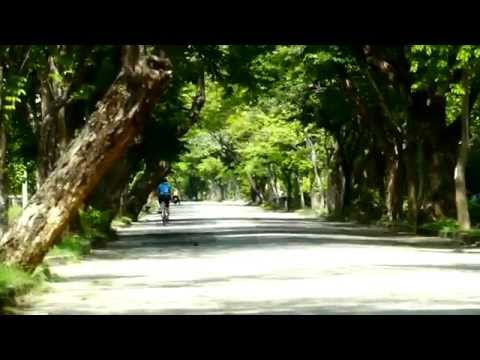ป้าจิ๊ ปั่นเสือหมอบ Road Bike