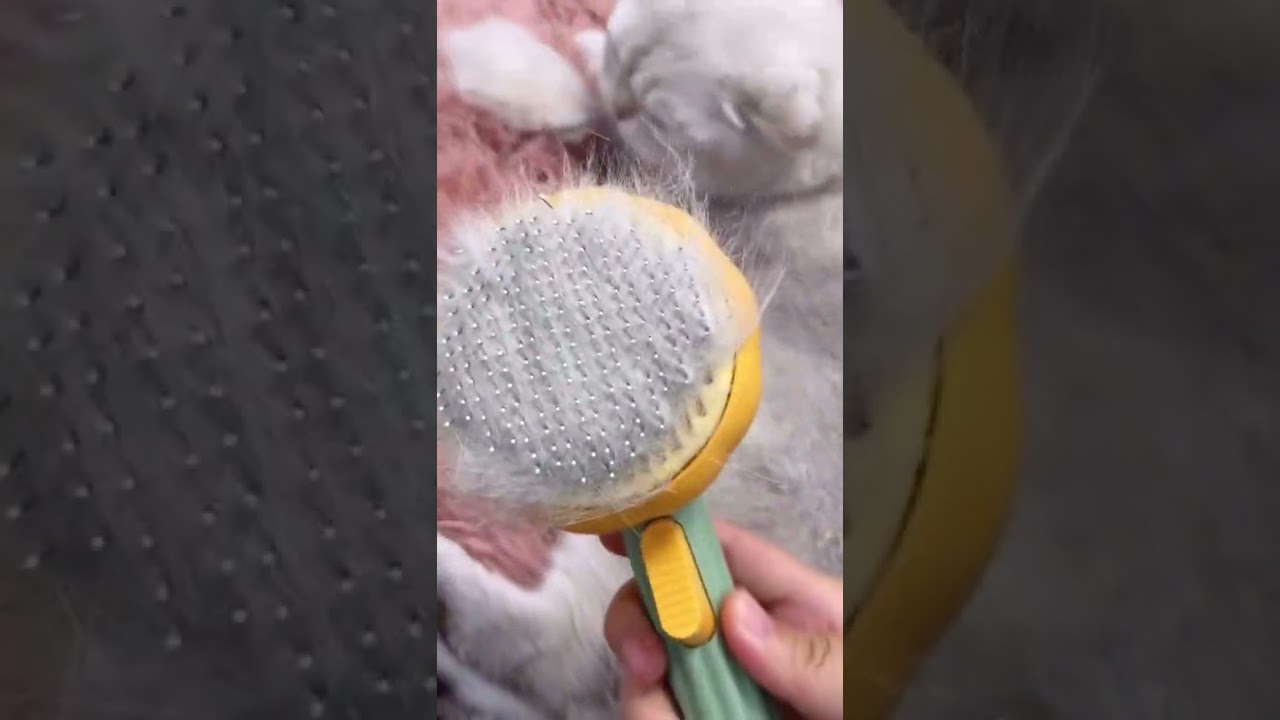 wool brush