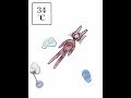 寝れる温度