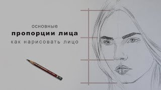 пропорции лица как нарисовать лицо пропорции лица в рисунке