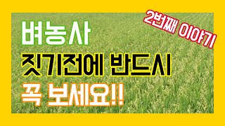 [바플티비] 벼농사 짓기전 꼭 봐야할 영상 그 두번째 이야기(출수개화기)