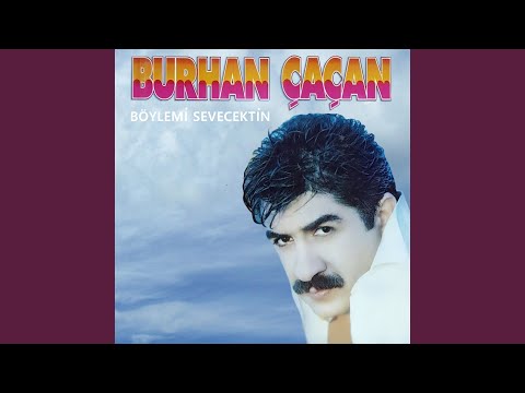 Böylemi Sevecektin