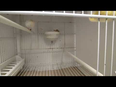 Tante Uova deposte!!! 