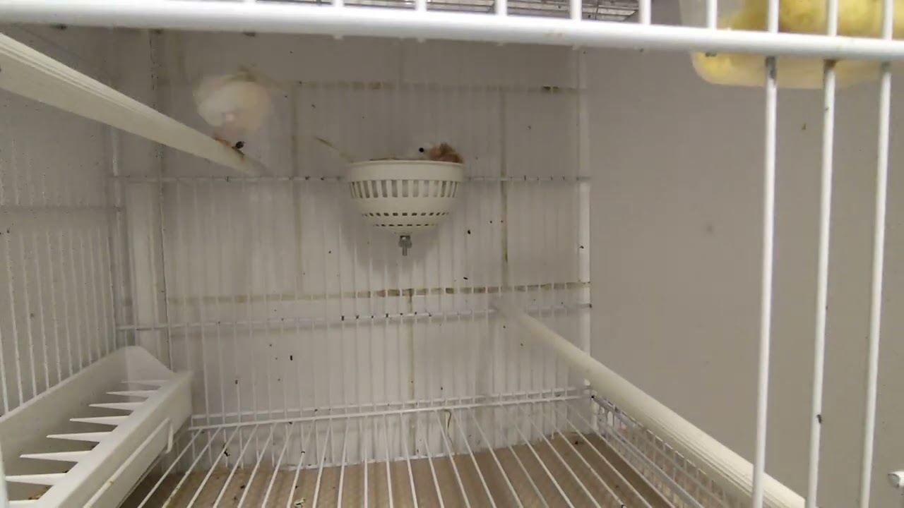 Tante Uova deposte!!! 