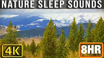 Calming Mountain Forest Breeze Sounds and Trees -  - Montana 4K Nature Sounds For Stress Relief