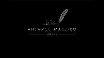 Ansambl Maestro - Splet melodija iz okoline Vranja