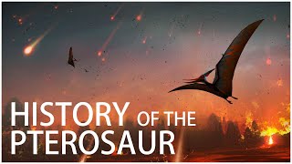 The History of The Pterosaur: When Flying Creatures Ruled The World | Dinosaur Documentary