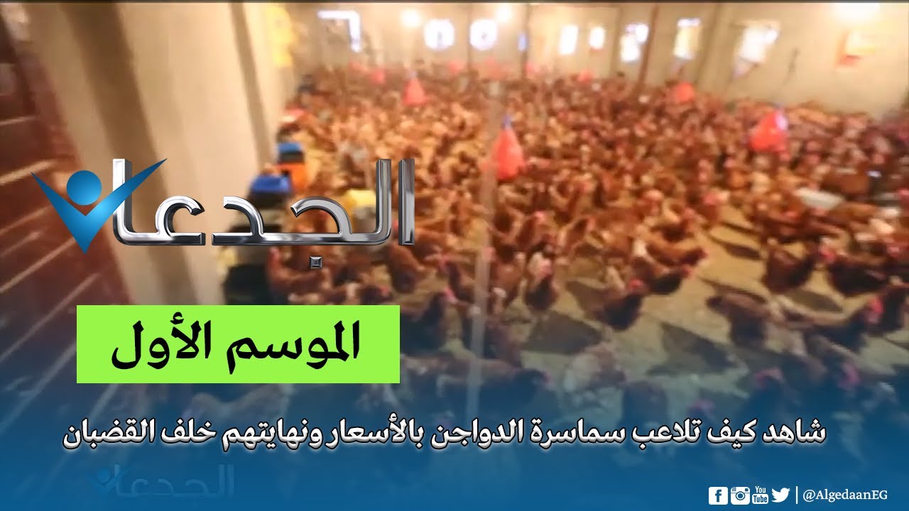 شاهد كيف تلاعب سماسرة الدواجن بالأسعار ونهايتهم خلف القضبان