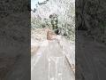 my editor is pawor video 📈👀👻#viralvideo #shorts #viral