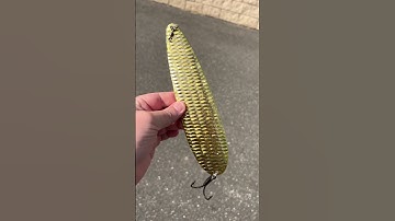 Catch more striped bass with a Flutter Spoon!