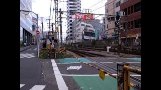 2019 小田急町田駅隣踏切 電車々と人々 Trains at Machida RR Crossing 190726