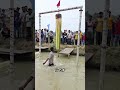 🌳 すべての人を拒む聖なる木 😳🙏