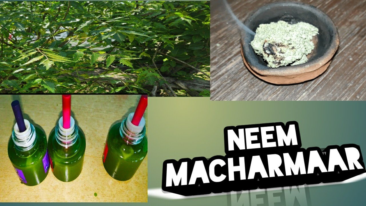 Neem camphor mosquito killer Home made YouTube