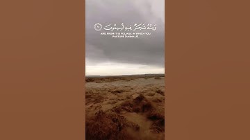 القارئ 🎙️ ياسر الدوسري|آيات من سورة النحل @SAFAEL-MRANI