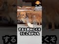 酔わなくなるグラスの欠点が盲点すぎた!