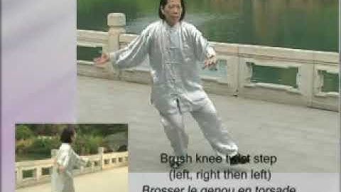 Yang Style Tung Ying Chieh Tai Chi - Part 1 by Grace Chui 2009 董英傑 "楊"家太極拳第一段由徐靄示範